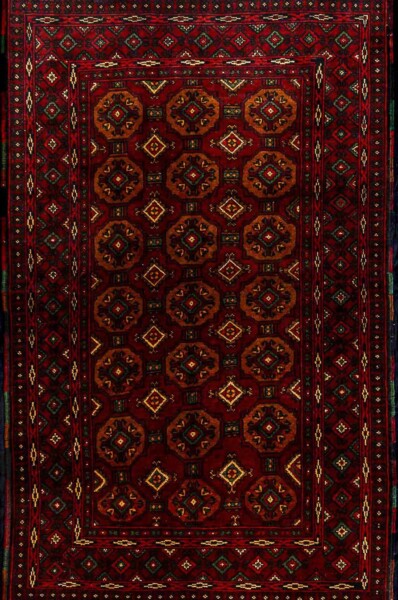5634-belouchi woo