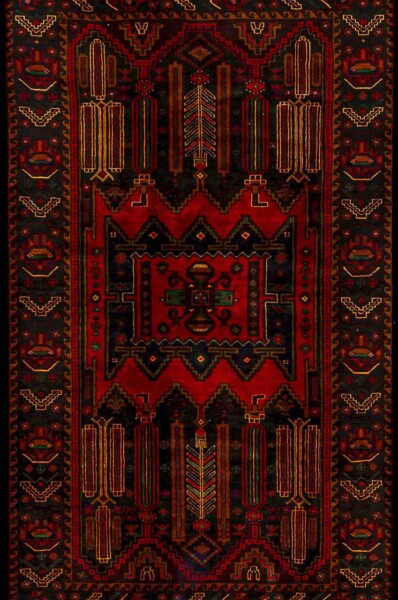 5651-belouchi wool